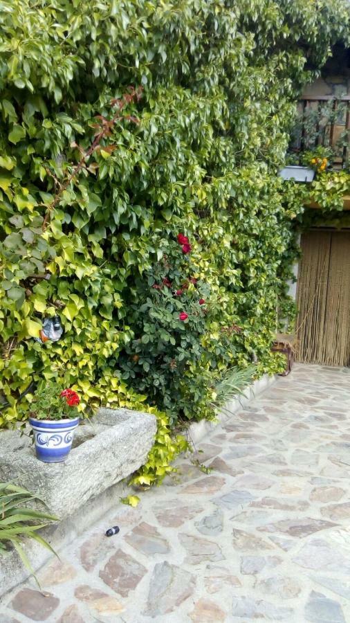 Hostal La Luciérnaga Sorihuela Exterior foto